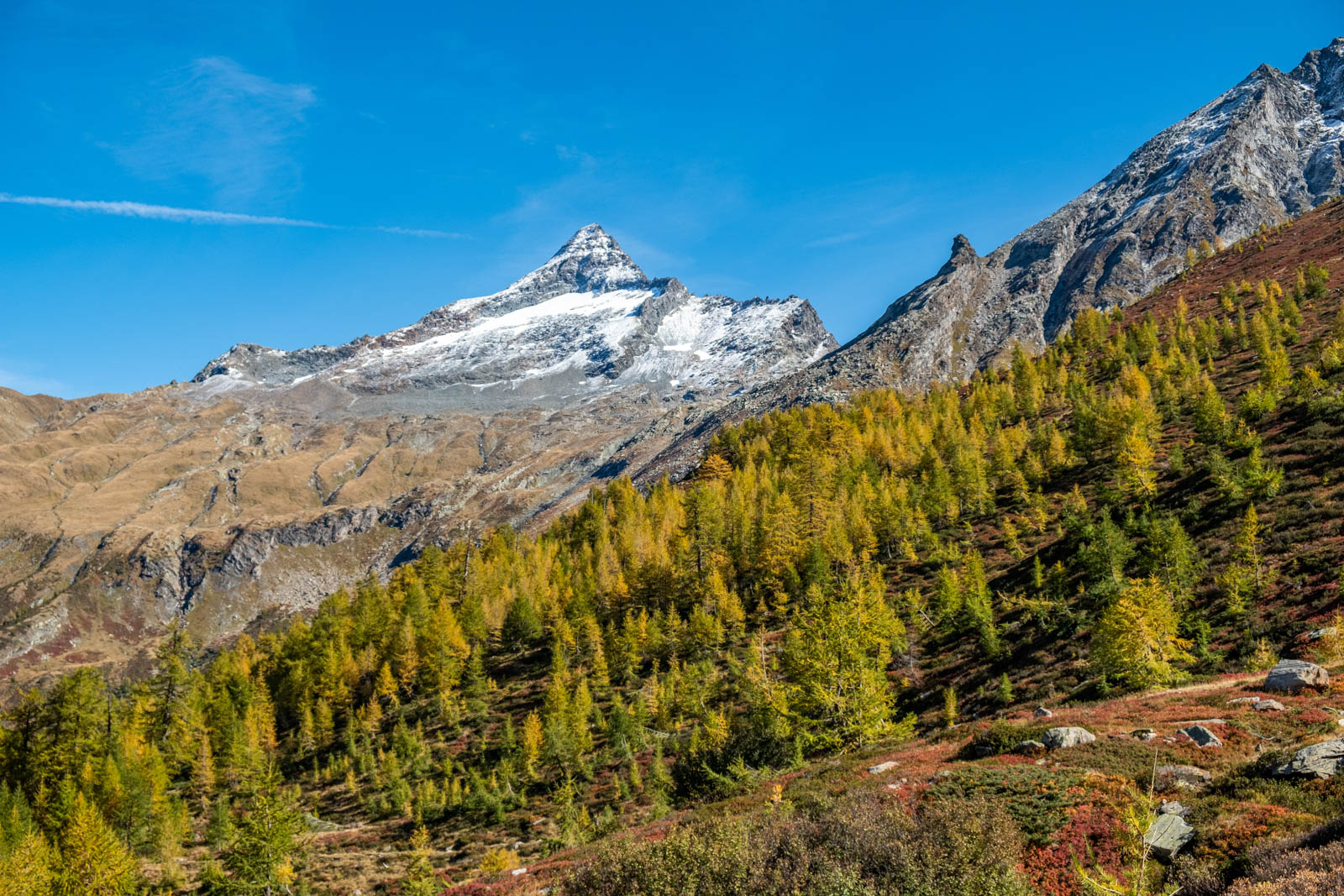 Titelbild Foto Ausstellung Bortelhorn in Herbstfarben